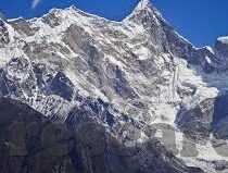 大富豪水果机输钱-大富豪水果机背后的输钱真相