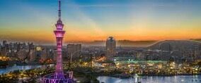 下载九游秋水斗地主-下载九游秋水斗地主，掌握技巧，赢取欢乐