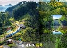 足球篮球比分网-解锁体育迷的宝藏，深度剖析足球篮球比分网如何改变你的观赛体验